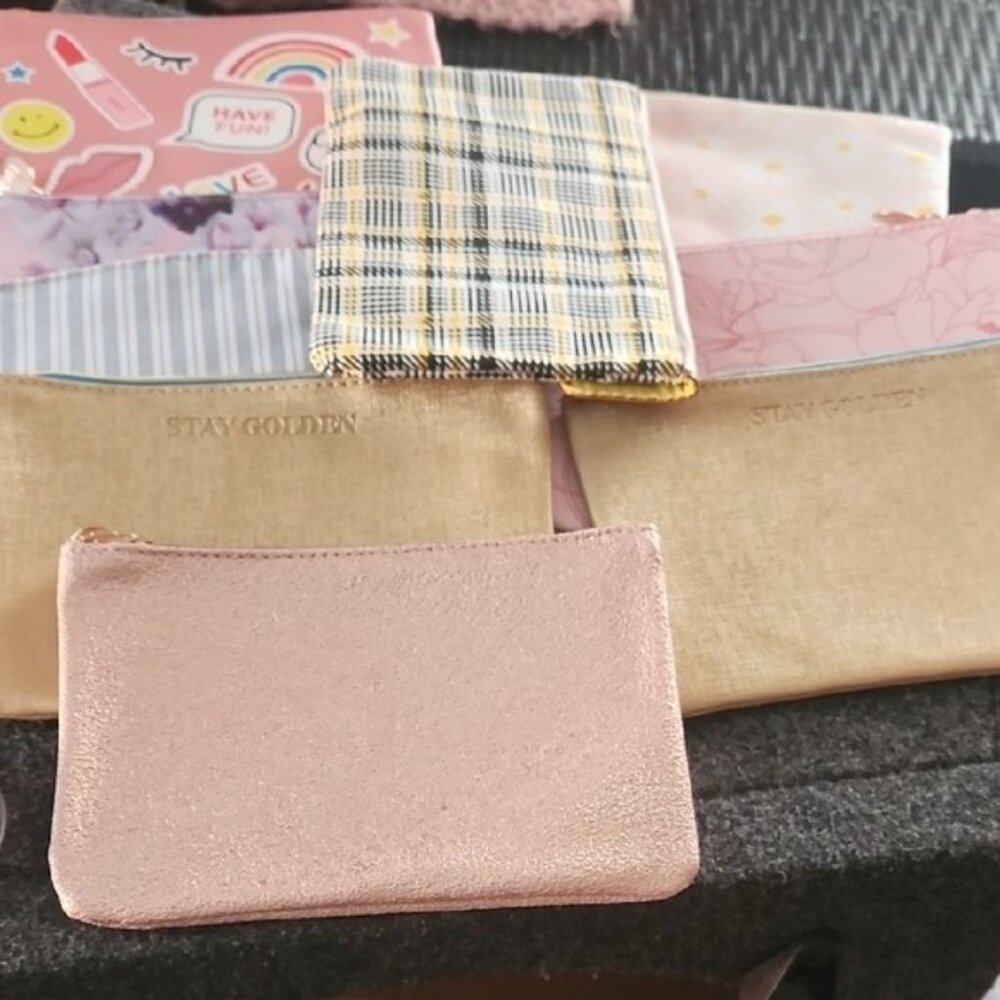 Makeup Bags and Pouch Collection Ipsy